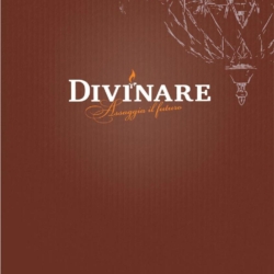 灯饰设计:Divinare 2016