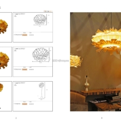 灯饰设计 Passion 4 Wood  lighting 2016