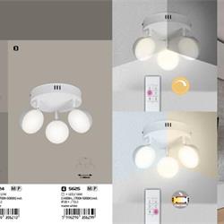 灯饰设计 Rabalux 2019-20年匈牙利灯饰品牌图片画册