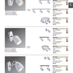 灯饰设计 Paulmann Light 2019年欧美室内照明电子书