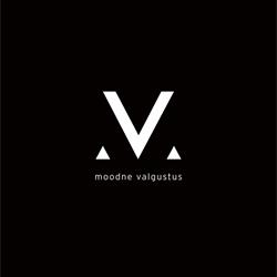 灯饰设计:Valgustus 2019年欧美现代简约灯饰设计图片