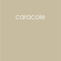 家具设计图:Caracole  2020年欧美现代家具设计图片