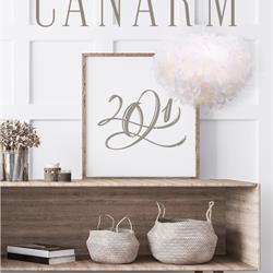 射灯设计:Canarm 2021年欧美现代灯饰设计电子目录