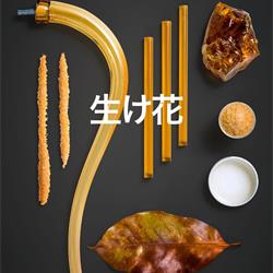 灯饰设计 Multiforme 2021年欧美新颖灯饰设计素材图片