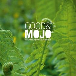 灯饰设计图:Good Mojo 2022年欧美手工木艺藤艺灯饰素材图片