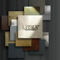 灯饰设计 Livex 2022年欧美知名灯饰品牌灯具设计产品