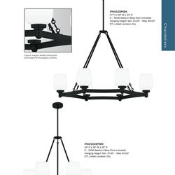 灯饰设计 QUOIZEL 2023年6月美国流行灯饰产品图片新增目录