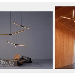 灯饰设计 Stickbulb 2024年欧美木艺LED灯具设计素材图片