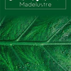 灯饰设计:Madelustre 2024年巴西木艺灯饰设计图片电子图册