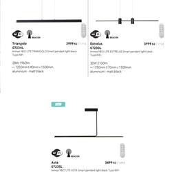 灯饰设计 Immax Neo 2024年智能照明现代LED灯具图片电子书