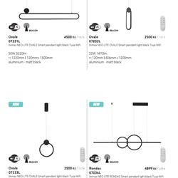 灯饰设计 Immax Neo 2024年智能照明现代LED灯具图片电子书