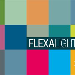 灯饰设计 Flexalighting 2024年欧美专业照明LED灯具产品目录