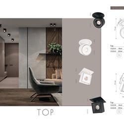 灯饰设计 LOFT IT 2024年秋季俄罗斯专业照明灯具产品图片电子图册