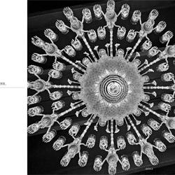 灯饰设计 iDogi Lighting 意大利水晶灯饰图片电子目录